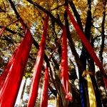 궁합은 단순한 맞춤이 아닙니다. 인연의 길을 읽는 제주 건령사