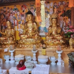 애정운이 막혔다면? 제주 신점 건령사